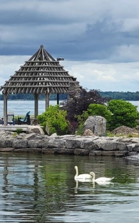 Peaceful waterfront views across the private grounds of Limestone Bay estate